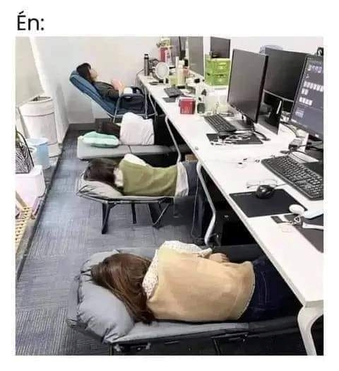 Ön szerint milyen egy ideális munkahely?