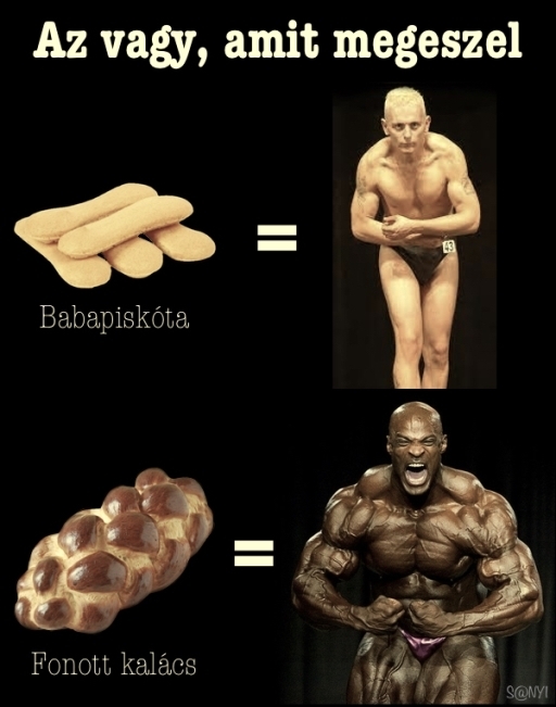 Táplálkozástudomány