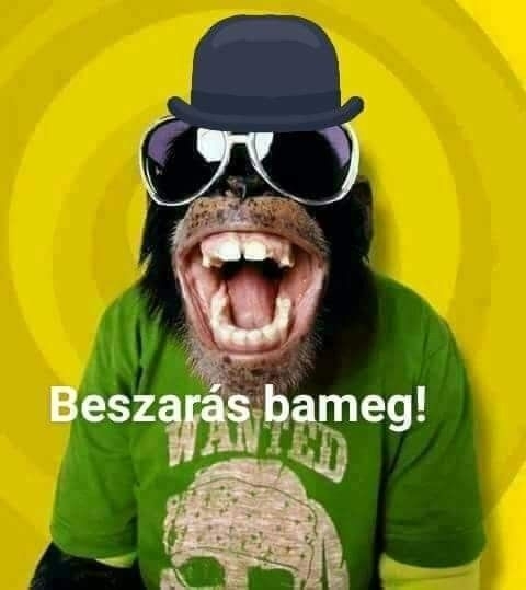 Régen haza kellett kísérni egy lányt egy csókért