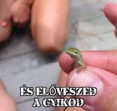 Amikor a csaj végre beadja a derekát