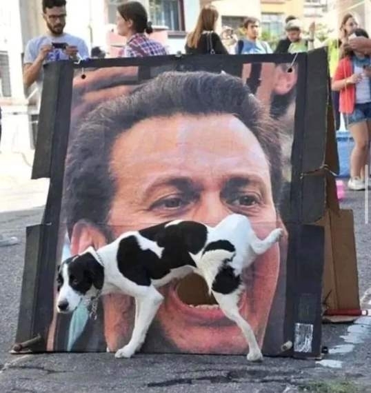 Egy jól sikerült fotó