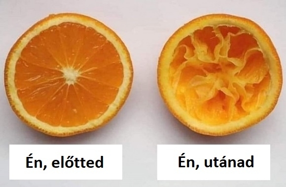 A szerelmesek napja alkalmából