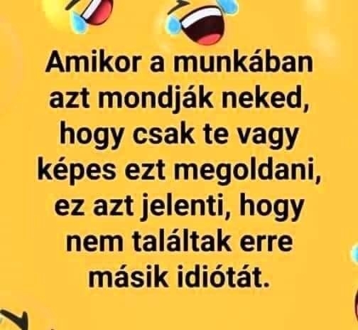 Napi tényfeltáró