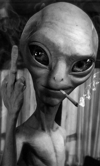 Ezt neked munka, a Vasárnap még az enyém!