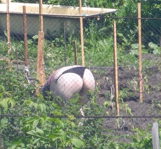 Hamarosan a magyar kiskertekben