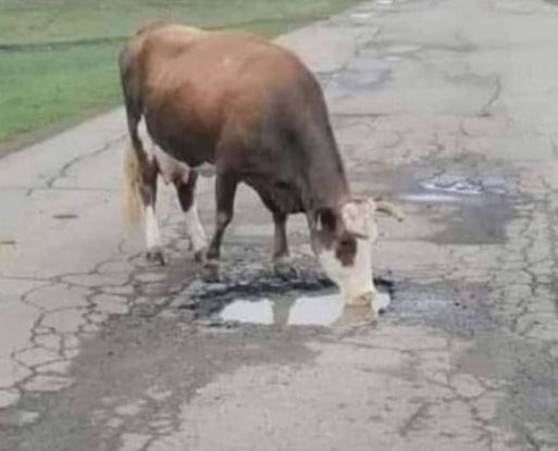 Nem rosszak az utaink, csak multifunkciósak