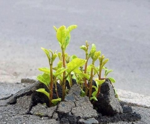 Szop@ss meg mindenkit