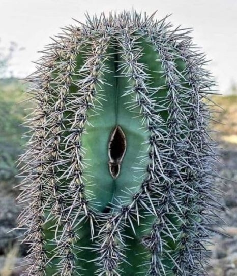 Amikor összevesztetek az asszonnyal,