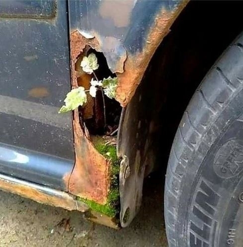 Küszöbön a tavasz