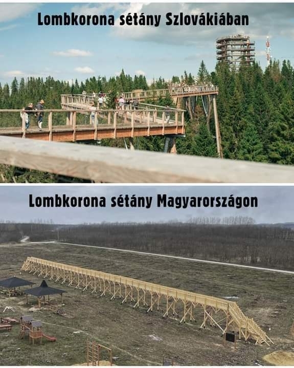 Van itt minden, csak lombkorona nincsen 🙂