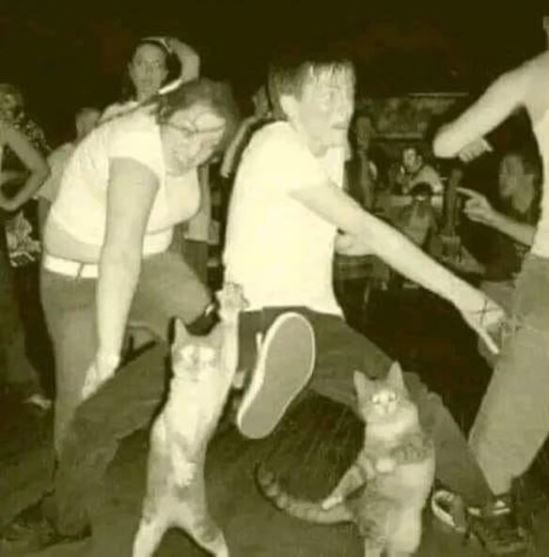 Szombat - Este odaverünk 🙂