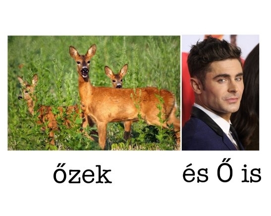 Borzasztó szóvicc 🙂
