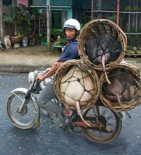 Fuvarban a helyi szállító