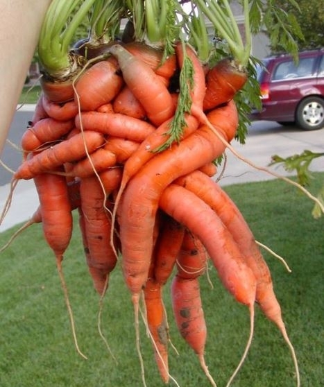 Így képzelek el egy bonyolult kapcsolatot