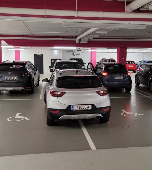 Tiroli parasztparkoló