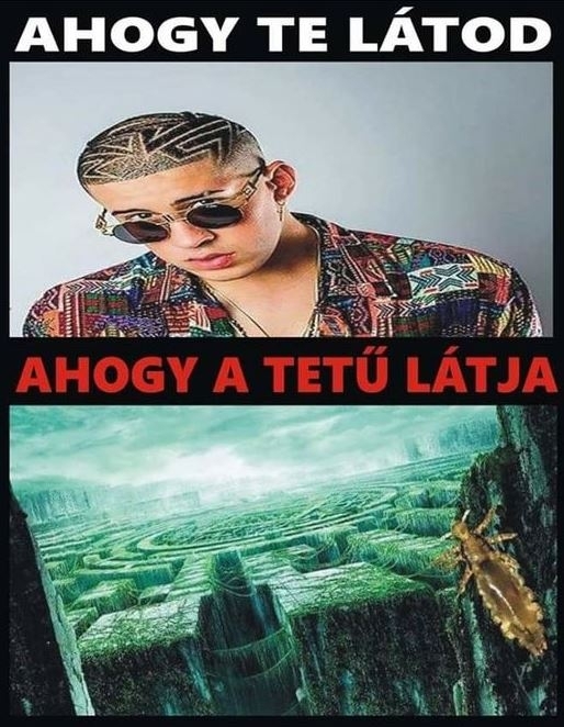 Ez egy kib@szott útvesztő!