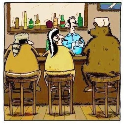 Eközben egy kanadai kocsmában