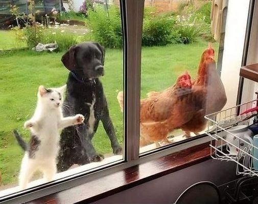 Amikor vasárnap lazítasz egy picit, és 15 perccel később kelsz fel