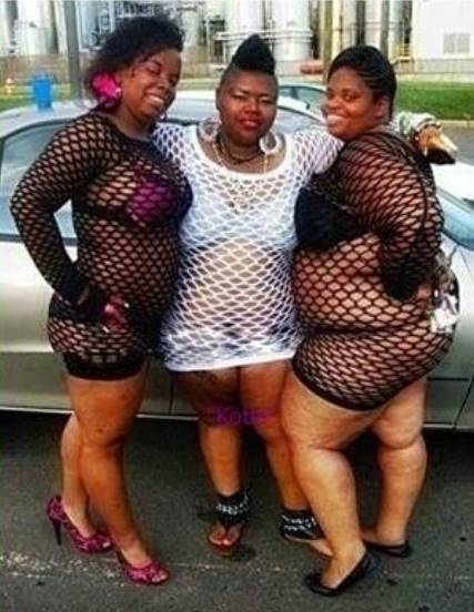 Ma egyszerre három feka csatakanca pózol nekünk