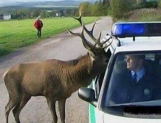 Ne nézz már ilyen hülyén!