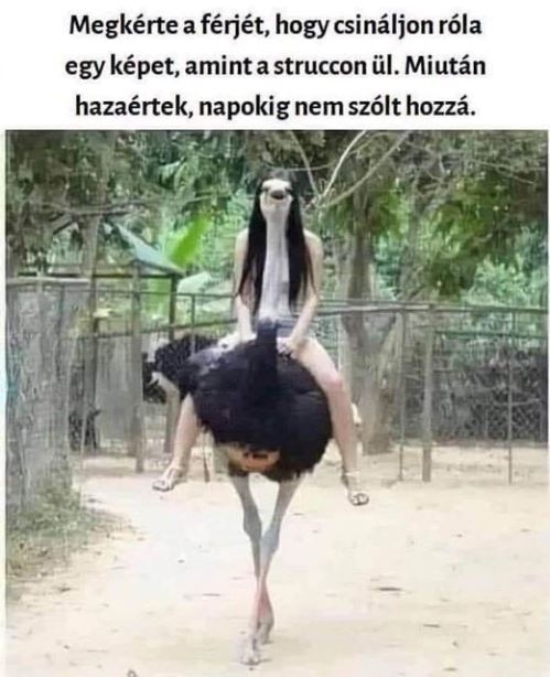 Pedig nagyon jó fotó 🙂