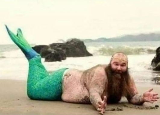 Soha többet ne megyek horgászni!