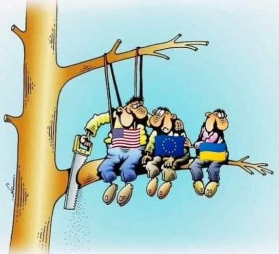 A sunyi, a balga és a balek