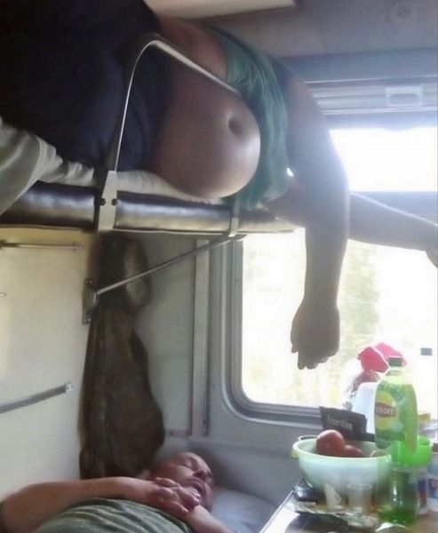 Pocak Berci lepihent