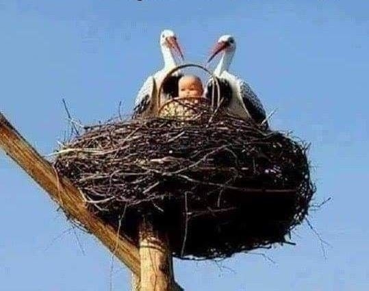 Amikor rajtad marad az árú