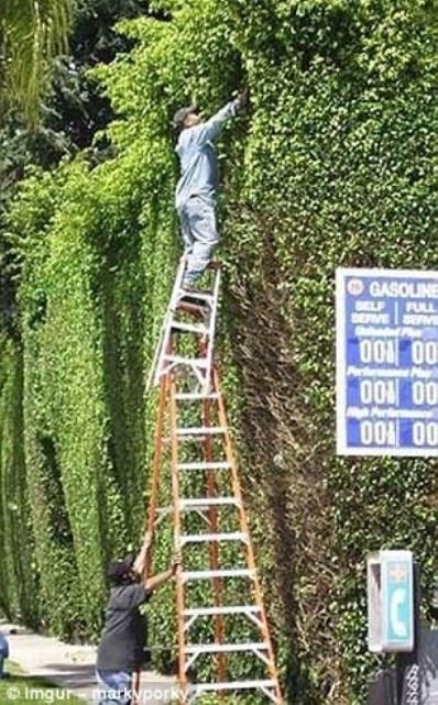 Ezért élnek tovább a nők