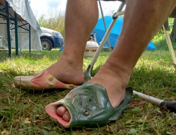 Ma vette kezdetét a jubileumi 15. Fishing on Orfű fesztivál