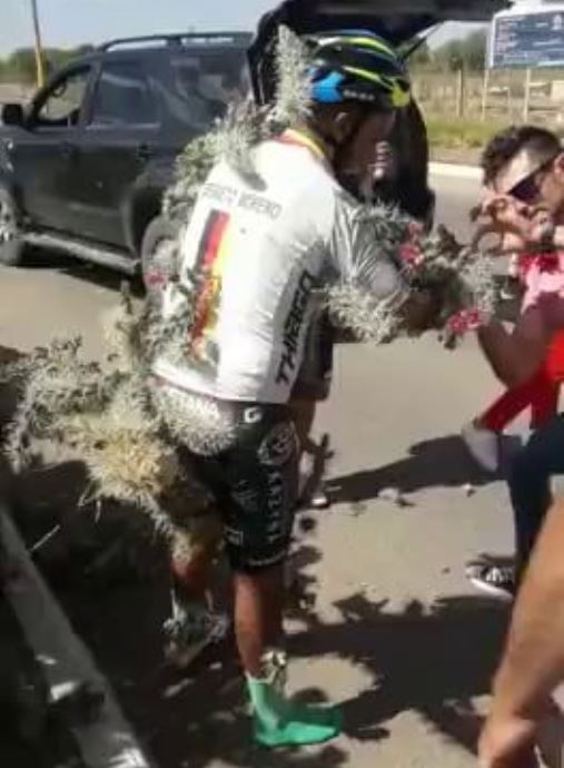 Hősünknek sikerült a kaktuszok közt landolni