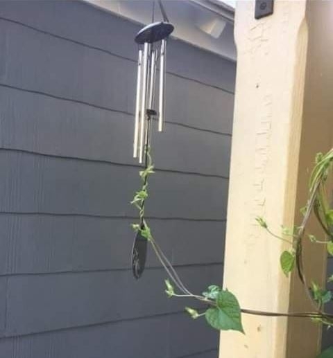 Amikor már nem csak a szomszéd unja a hülye szélharangodat