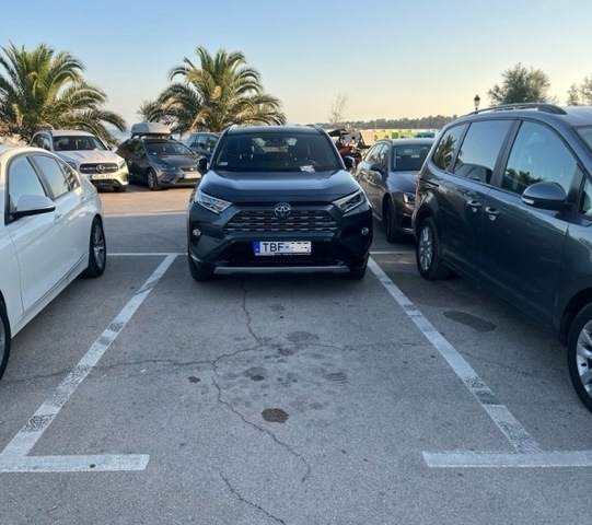 Eközben a horvátországi Vir-szigetén