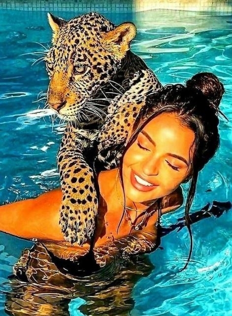 Nem mindenki kutyát tart