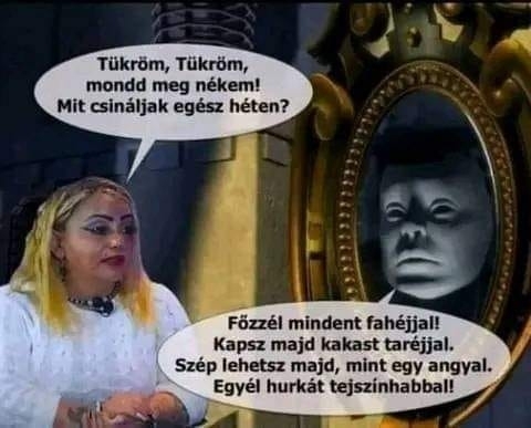 Segítünk ha nem tudnád mitévő légy