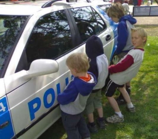 Rosszalkodnak a kölykök