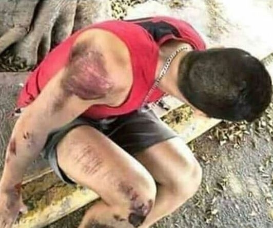 Haver, miért adtad el a mocit?!