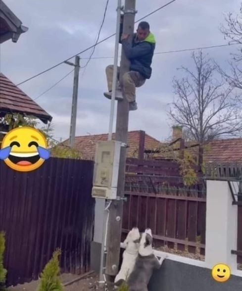 Vidéki rúdtánc tanfolyam