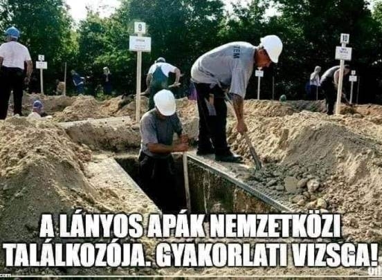 Napi bizarr