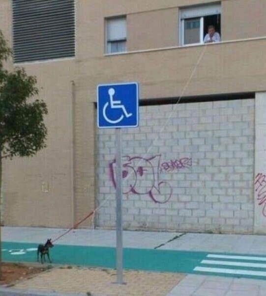 Ha a lustaság fájna