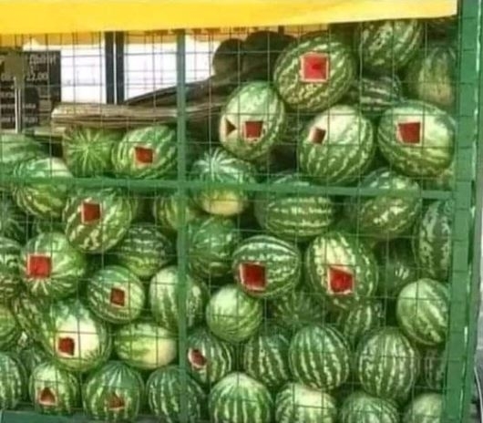 Este megkívántam egy kis dinnyét, de már zárva volt az árus