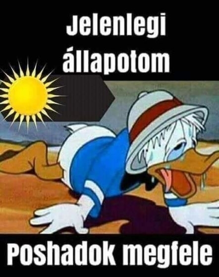 Ma volt az idei nyár legmelegebb napja