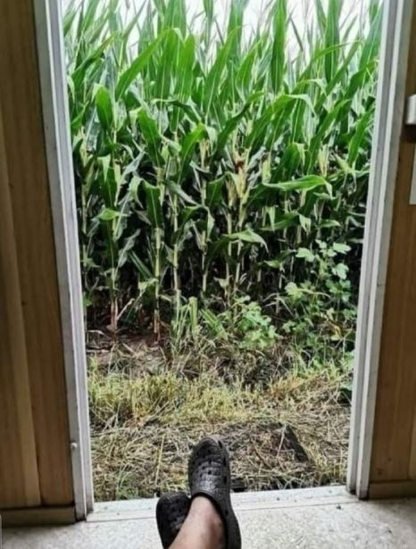 Szoba kiadó, tengeri kilátással