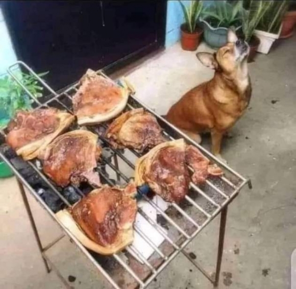 Lassan elkészül a kaja