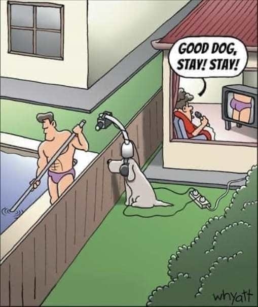 A kutya az ember legjobb barátja