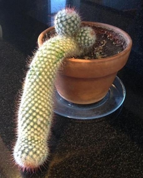 Hiába írunk szeptembert, szerdáig még marad a 30 fok körüli időjárás