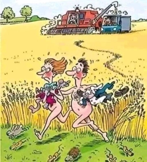 Megkezdődött az őszi aratás