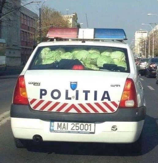 Vállaltak egy kis másodállást éberék