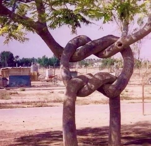 Chuck Norris megmutatta helyi cserkészcsapatnak, hogyan kell csomót kötni